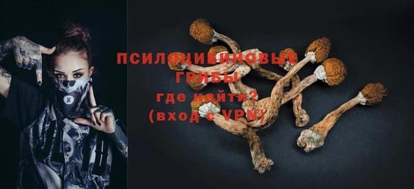 мдма Горняк