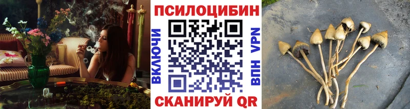 Галлюциногенные грибы мицелий  Купить закладки  Шумерля 